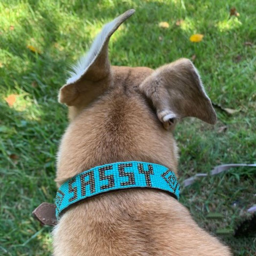 Picture of custom beaded dog collar  - medium