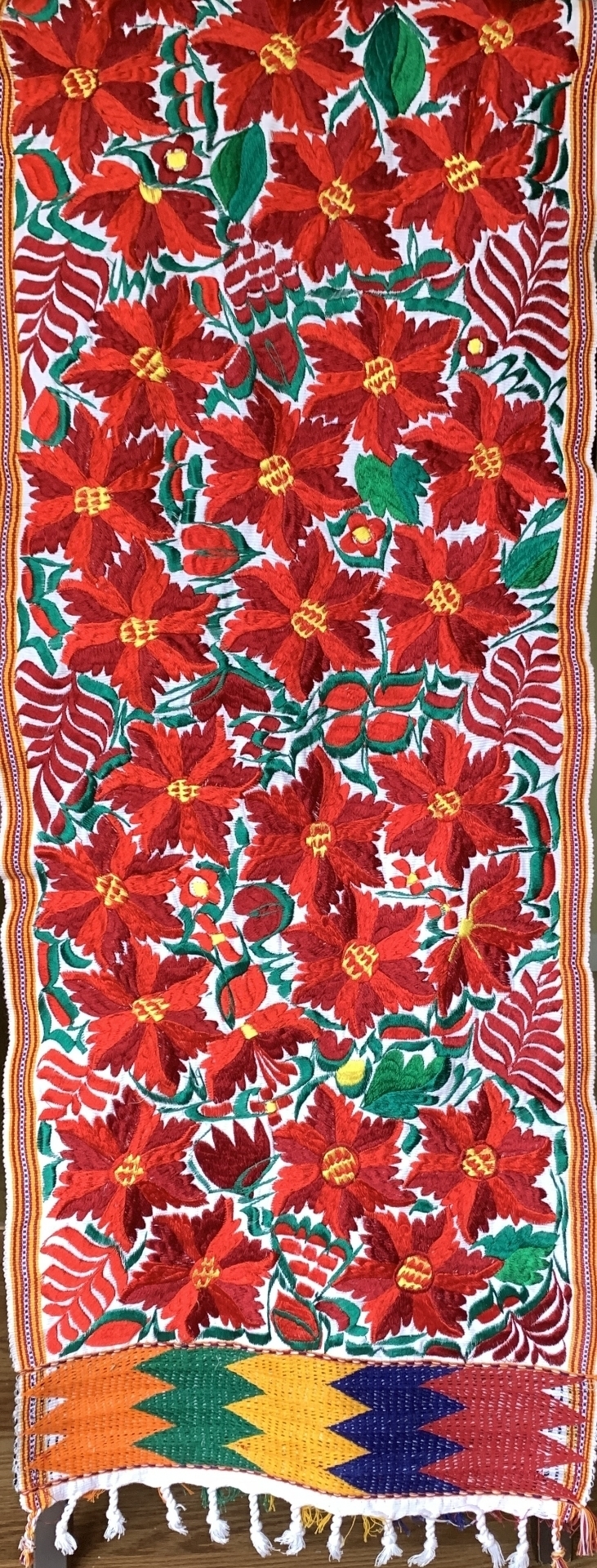 medium poinsettias