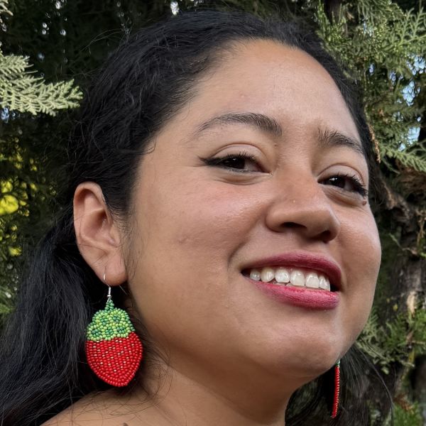Strawberry Beaded Earrings