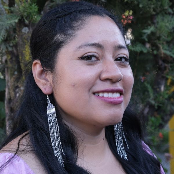 Waterfall Long Beaded Fringe Earrings