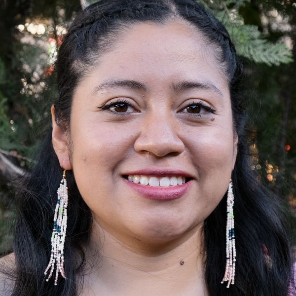 Waterfall Long Beaded Fringe Earrings