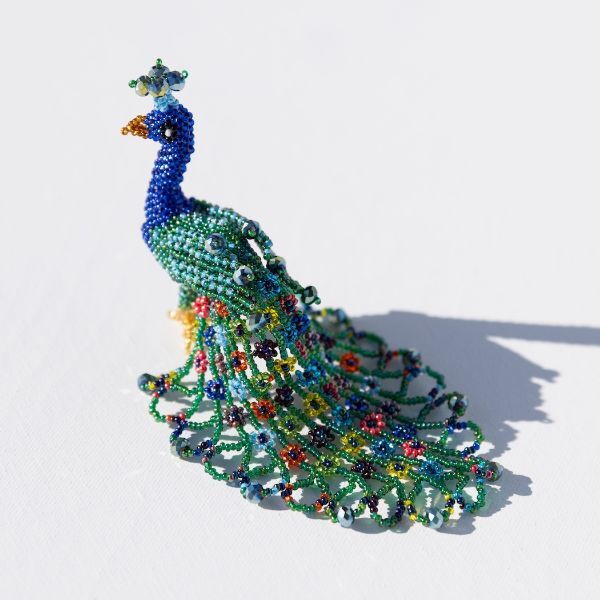 Picture of pretty peacock