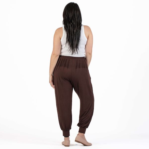 Brown Jenny Solid Jogger Pants (Back)