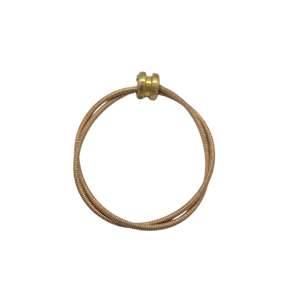 Picture of guitar string ring