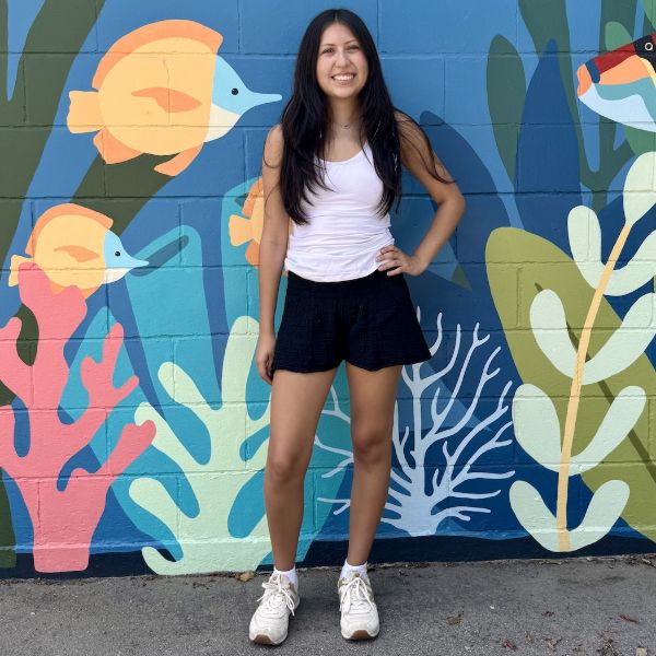 Gauzy Cotton Flowy Shorts