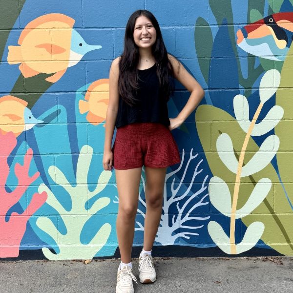 Gauzy Cotton Flowy Shorts